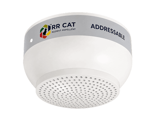 RR CAT addressable ultrasonic transducer