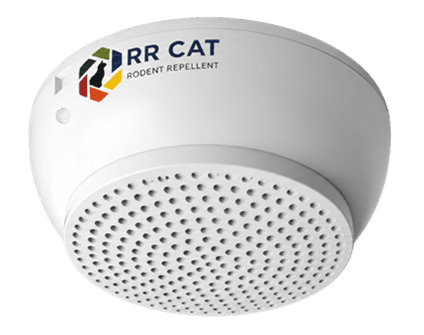 RR CAT standard ultrasonic transducer