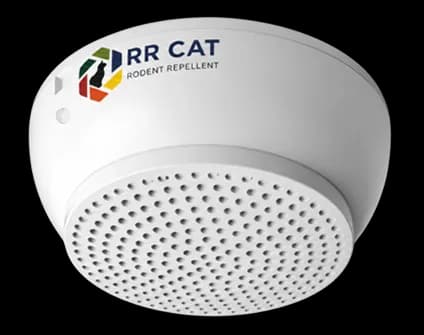 RR CAT standard ultrasonic transducer